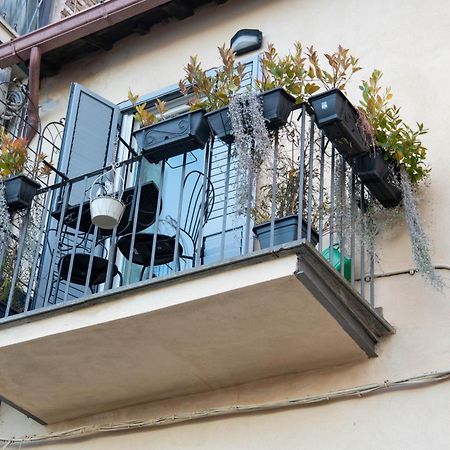 B&B Carpe Diem Vista Lago Castel Gandolfo Zewnętrze zdjęcie
