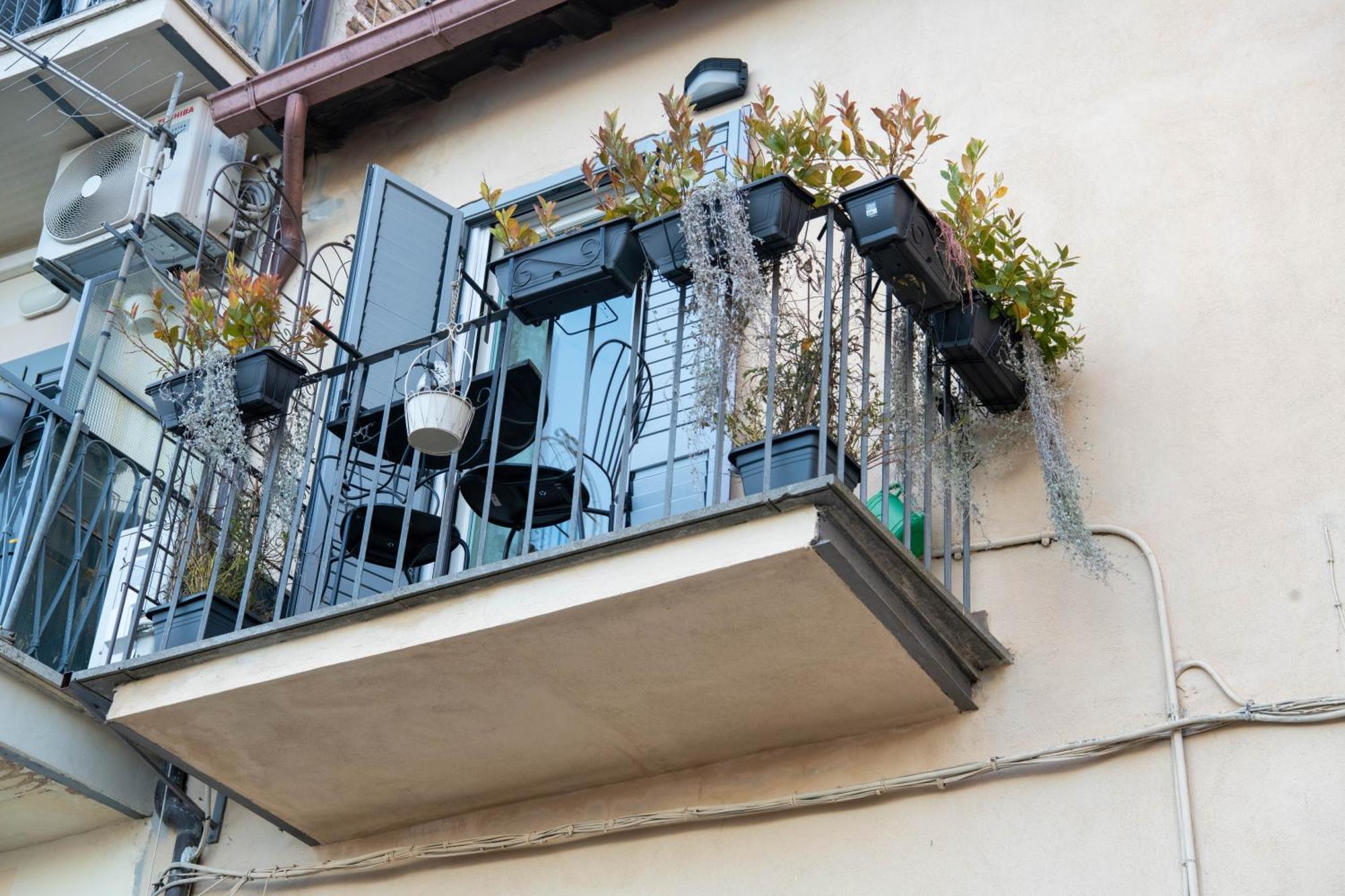 B&B Carpe Diem Vista Lago Castel Gandolfo Zewnętrze zdjęcie