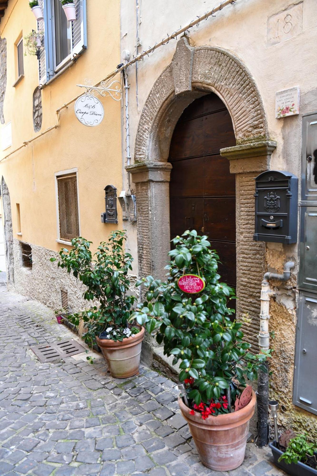 B&B Carpe Diem Vista Lago Castel Gandolfo Zewnętrze zdjęcie